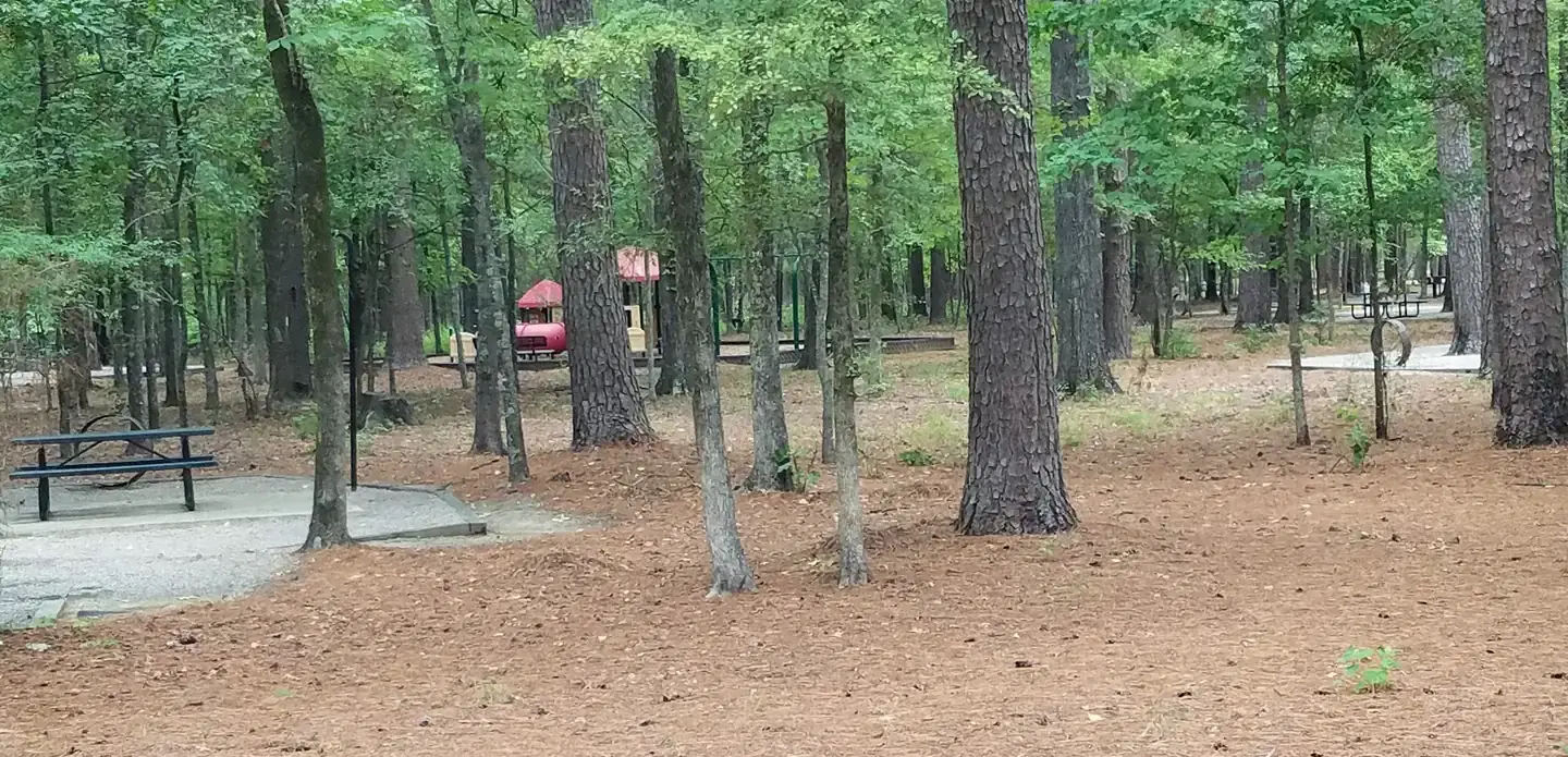 Campsite and playground in Malden Lake Campground.