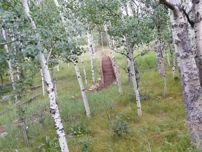 LA VISTA CAMPGROUND - LAKE ISABEL