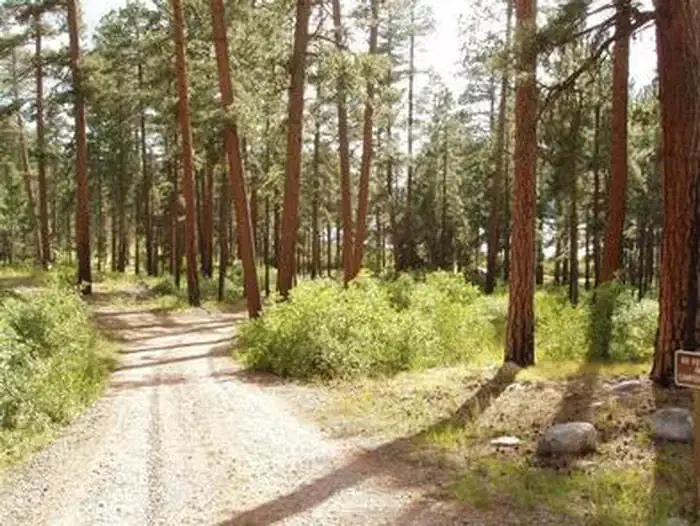 NORTH CANYON CAMPGROUND