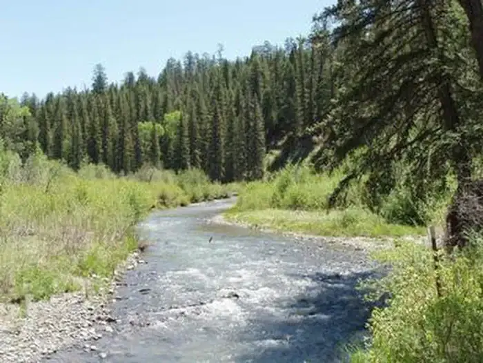 BLANCO RIVER GROUP CAMPGROUND
