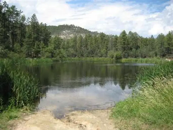 HORSETHIEF reservoir nestled in the trees with small rocky beach