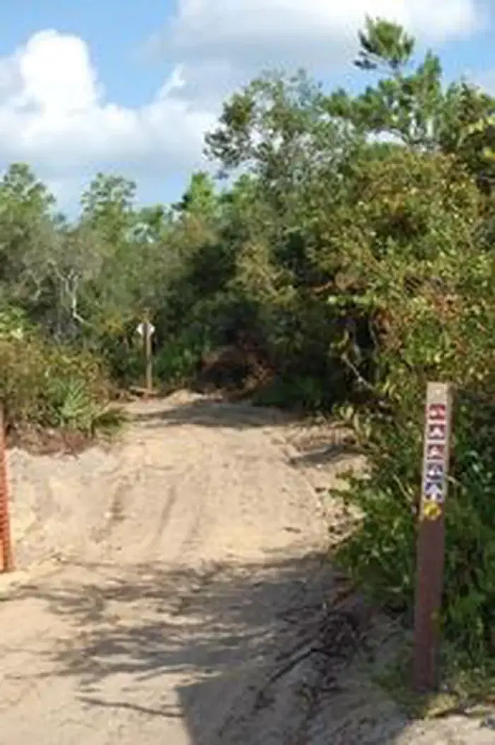 Big Scrub OHV Trailhead 2