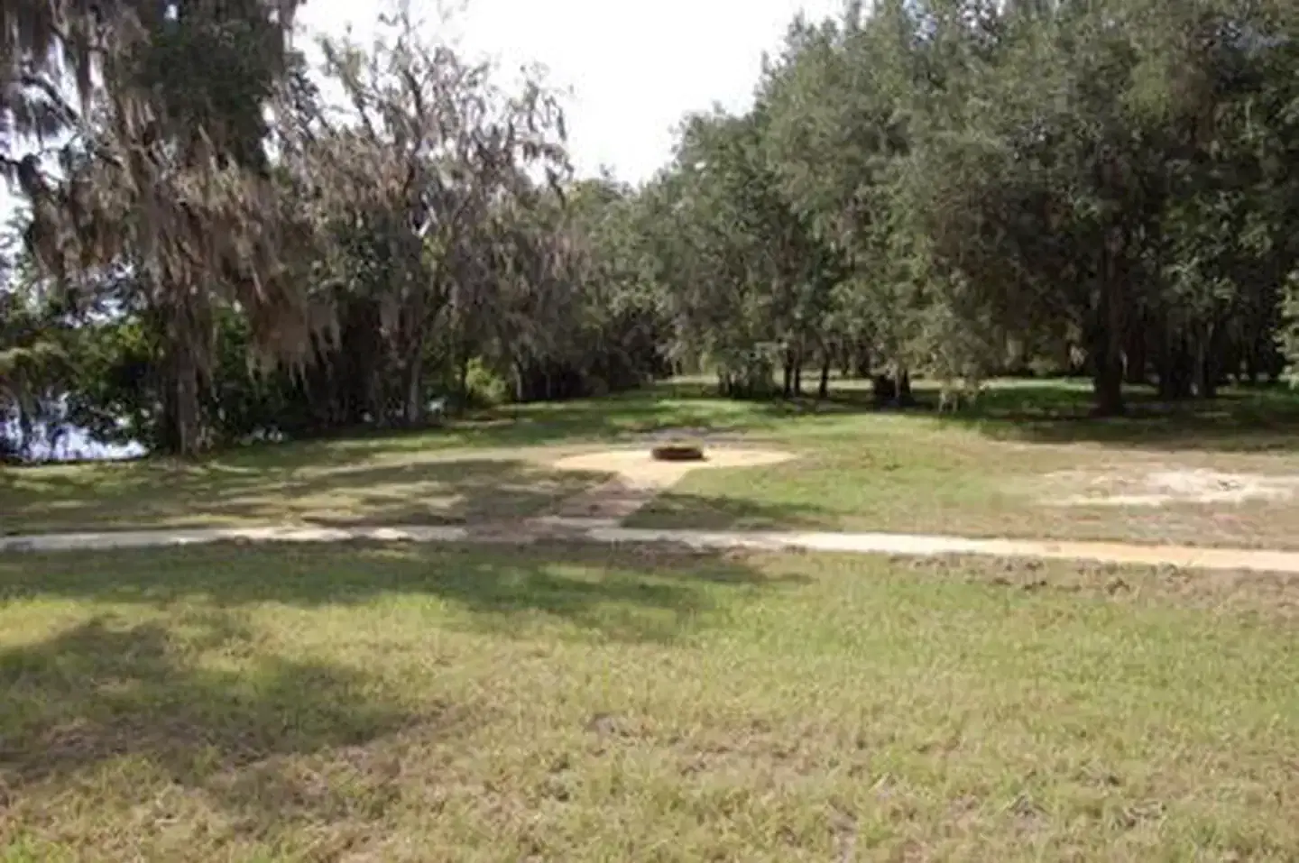RIVER FOREST GROUP SITE