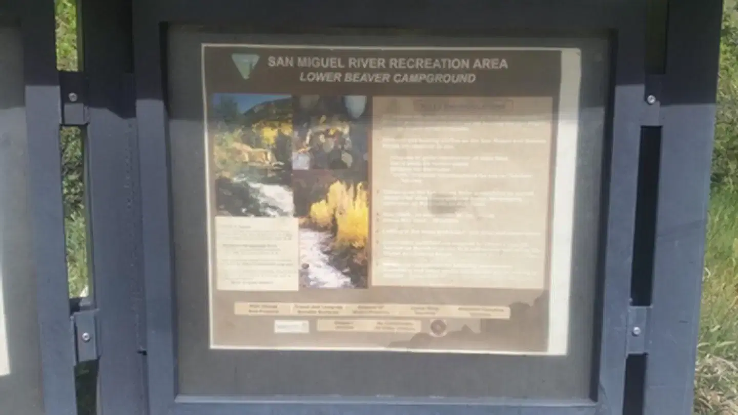 San Miguel River: Lover Beaver Campground