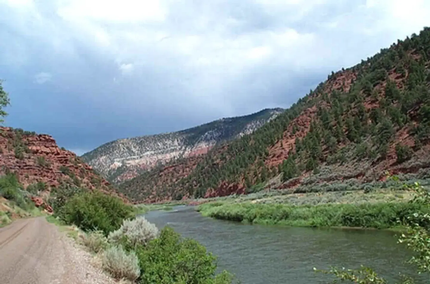 Lyons Gulch View 