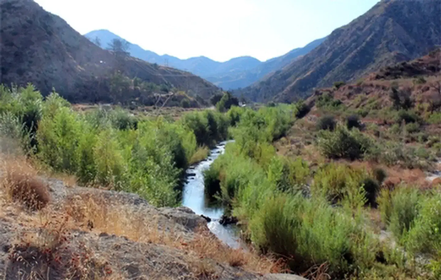 Thompson Creek