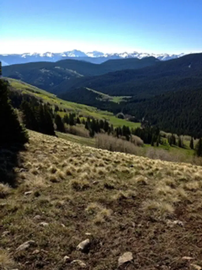 Thompson Creek 