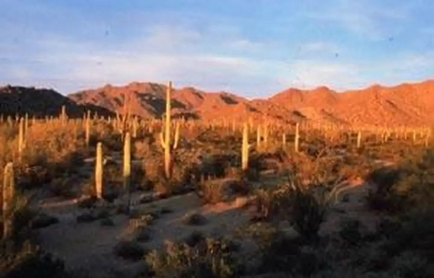South Maricopa Mountains Wilderness