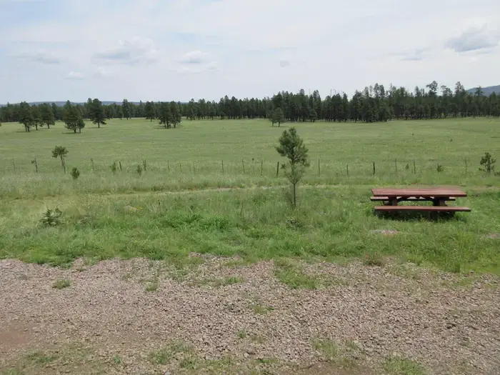 View from Caldwell Cabin