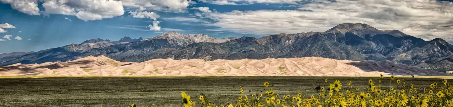 Panoramic view with sunflowers and green fields in the foreground, sand dunes lit by the sun with soaring mountains in the background.