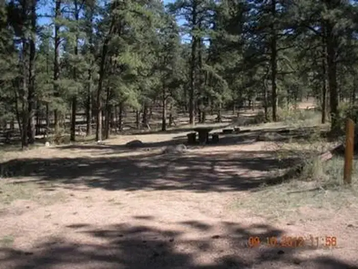 BUFFALO CAMPGROUND