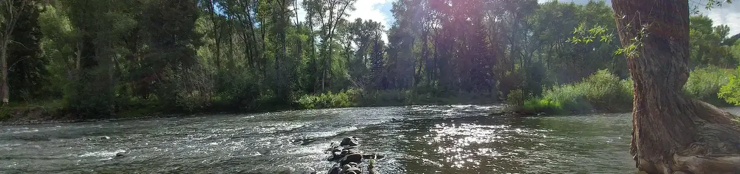 Conejos River from Mogote Campground
