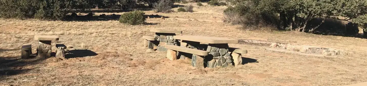 Stockton Pass Group Site Picnic Tables