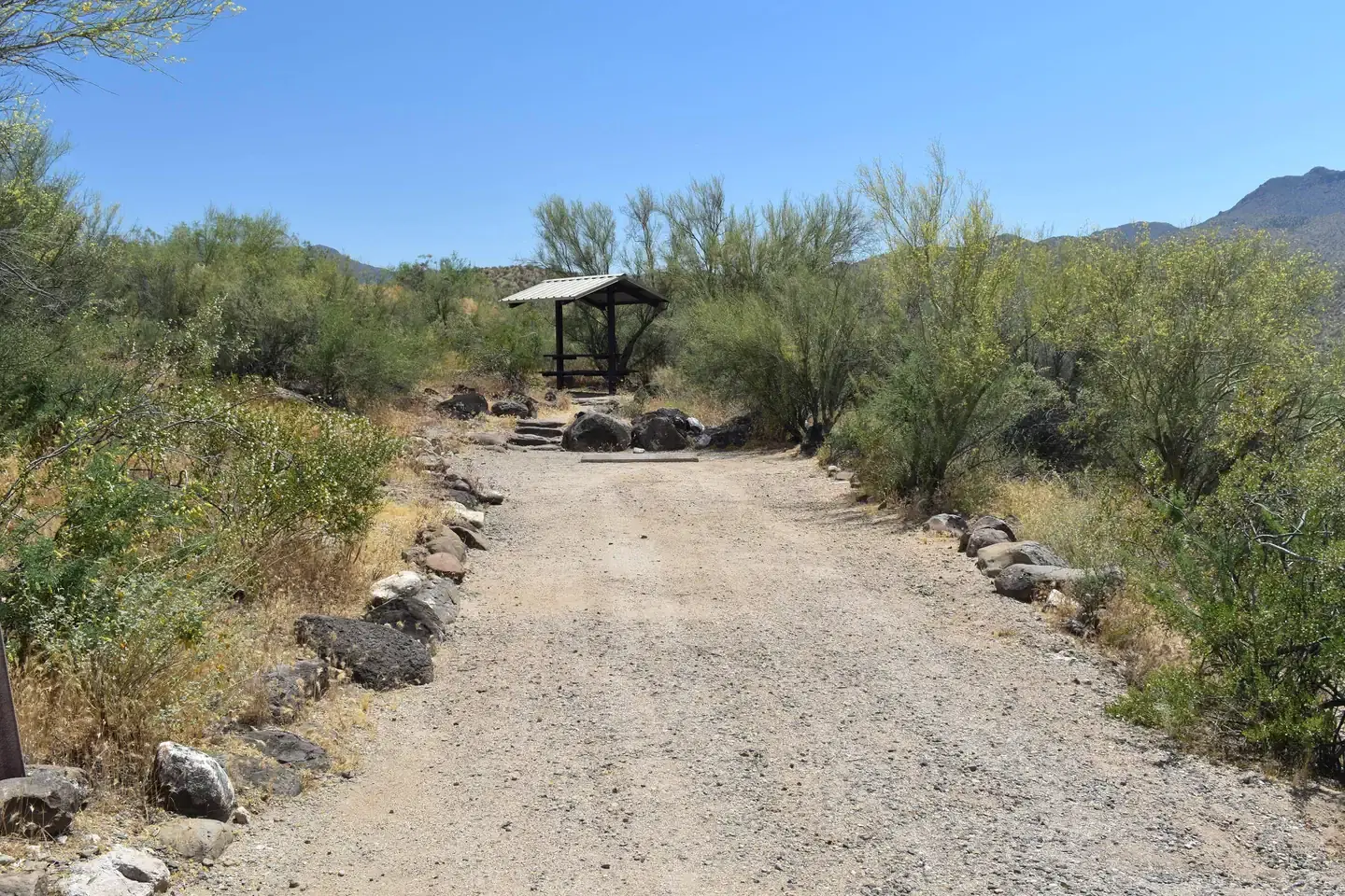 Site Number 4