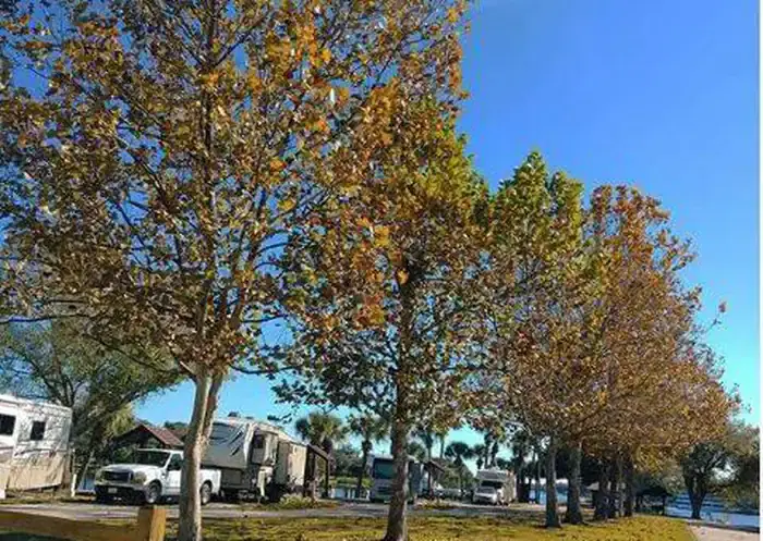 Winter Foliage at W.P. Franklin N. Campground