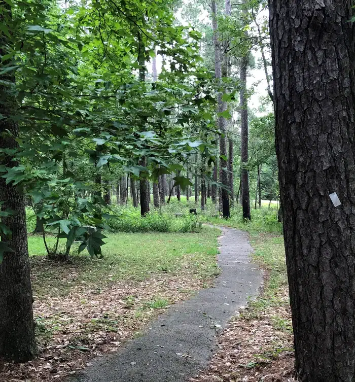 Cagle walking path