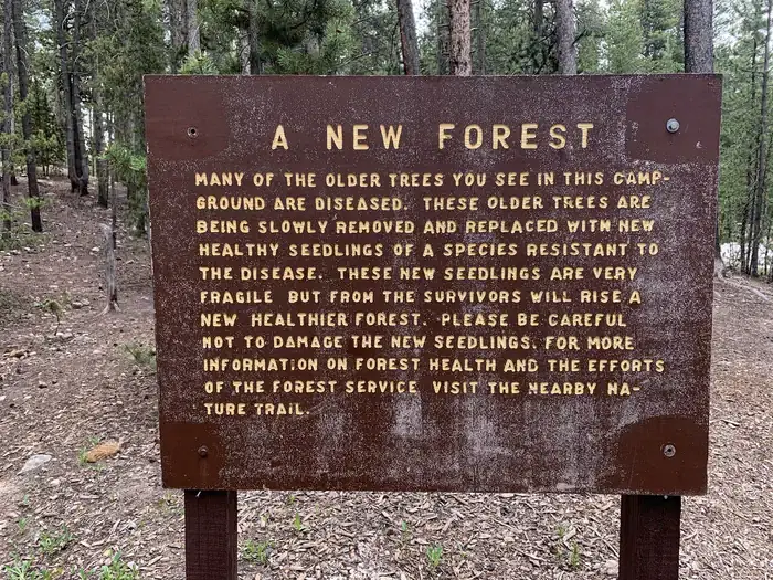 Molly Brown Campground