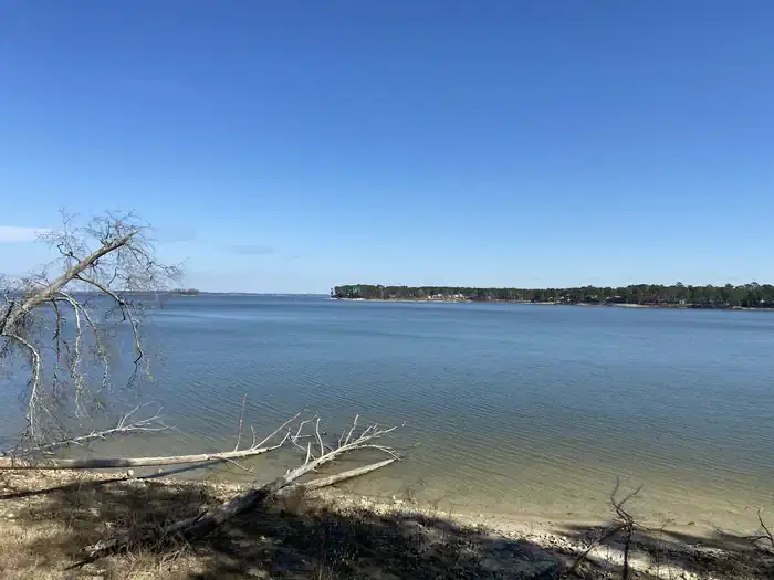 View from A-Loop Shoreline