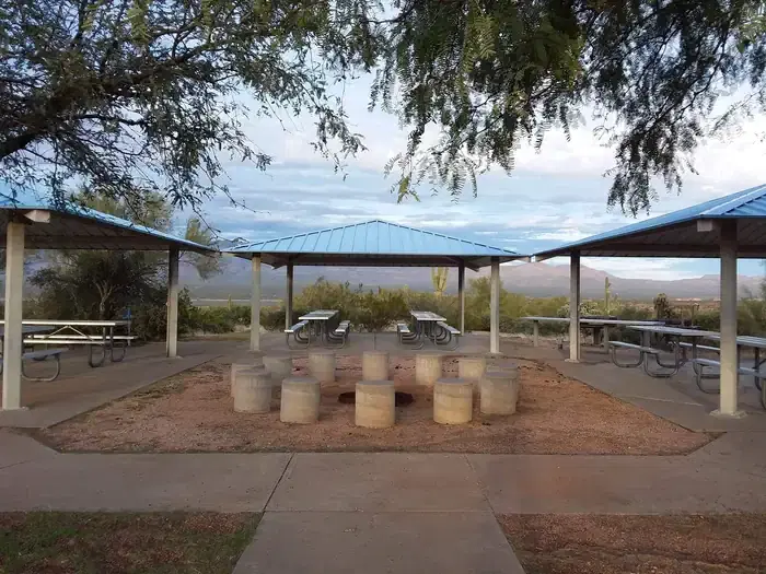 Grapevine Overview