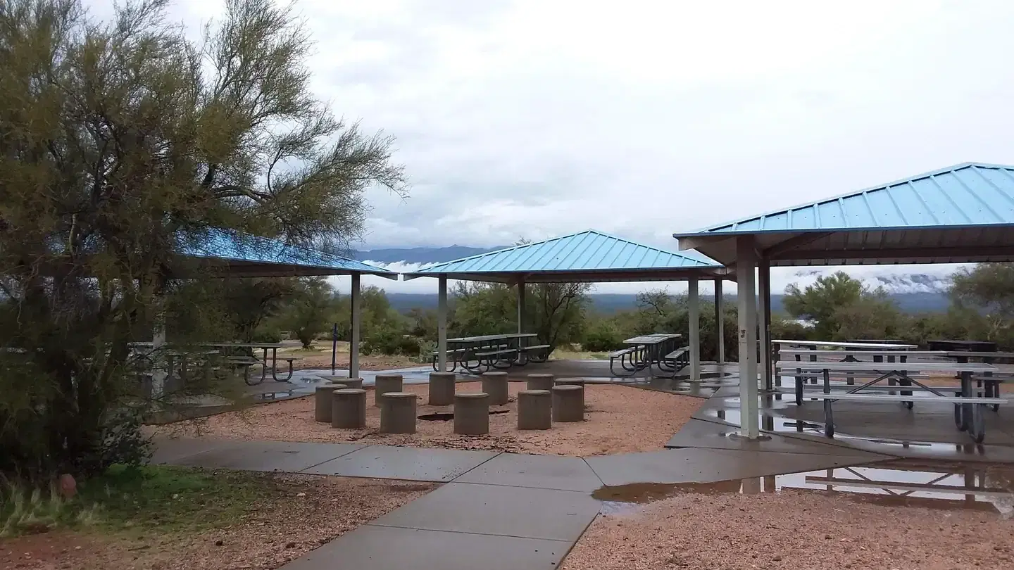 Grapevine Overview