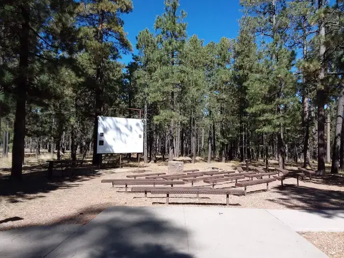 CANYON POINT Amphitheater multi-media projection screen, fire ring, and benches situated in a pine forest