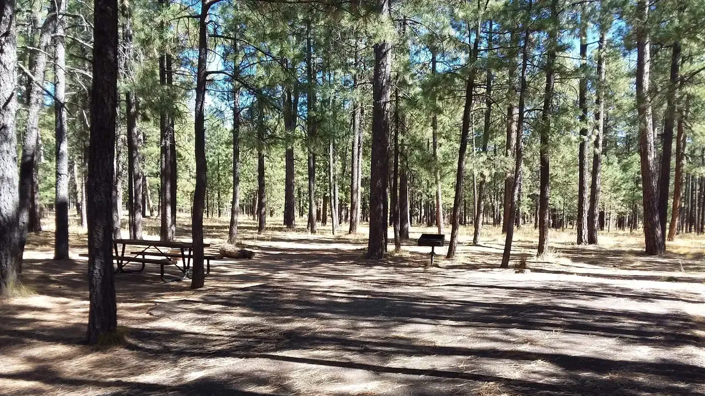 CANYON POINT Campsite