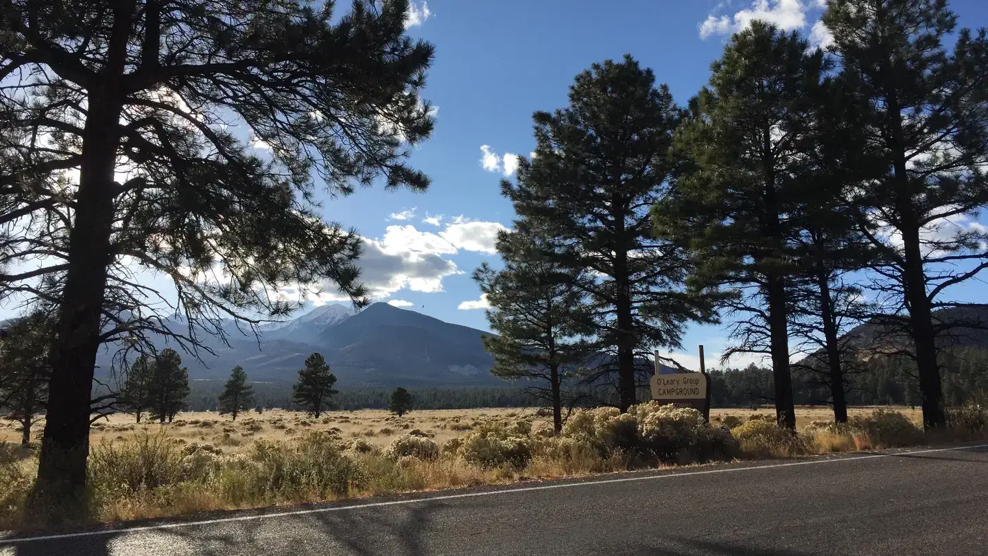 O'Leary Group Campground Mountain Views