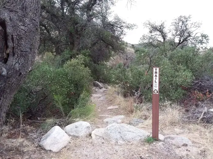 Arizona Trail