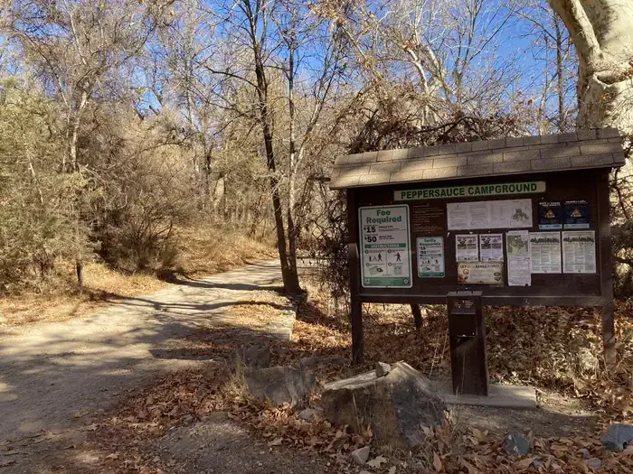 Peppersauce Campground near Oracle, Az