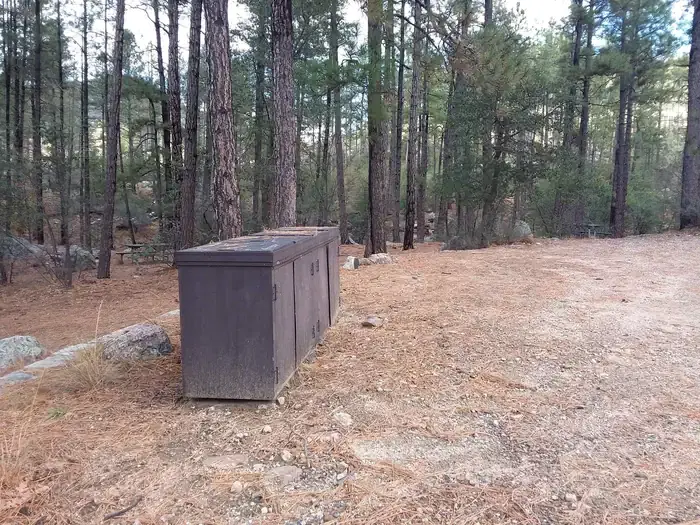 Turney Gulch Campground Trash Collection