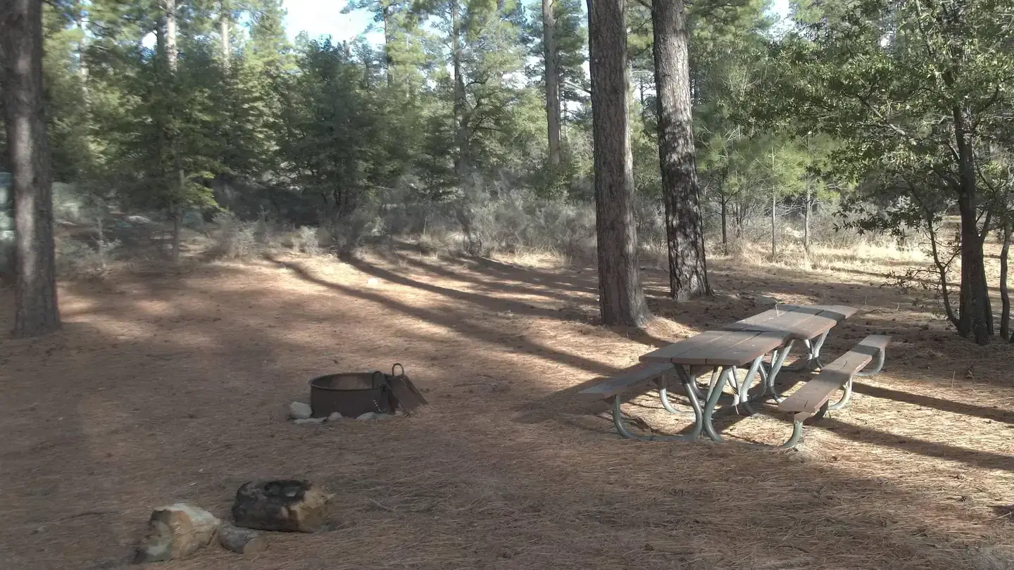 Upper Wolf Group Campsite