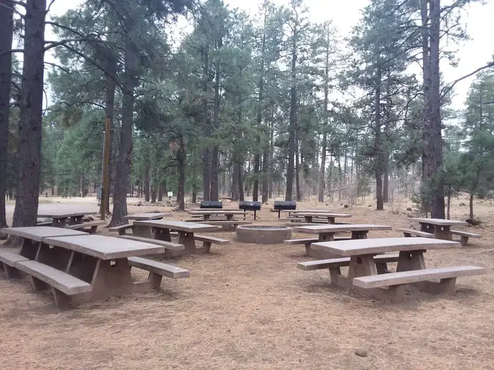 Playground Campground Group Site