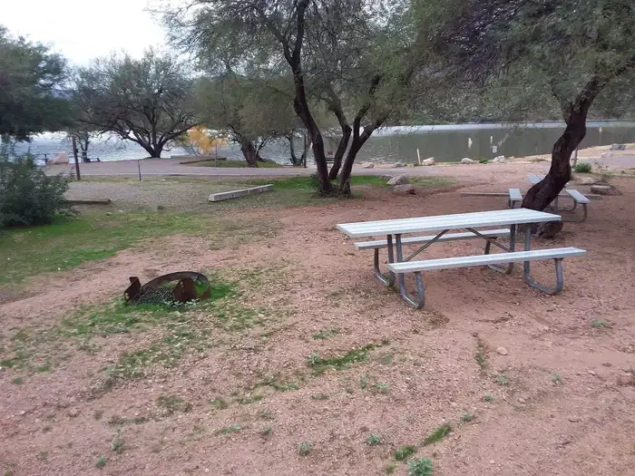 Site 56