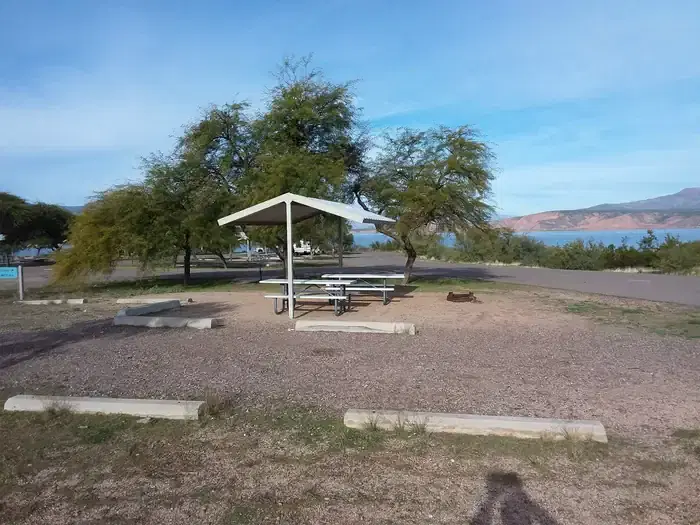 Windy Hill Campground Coyote 279