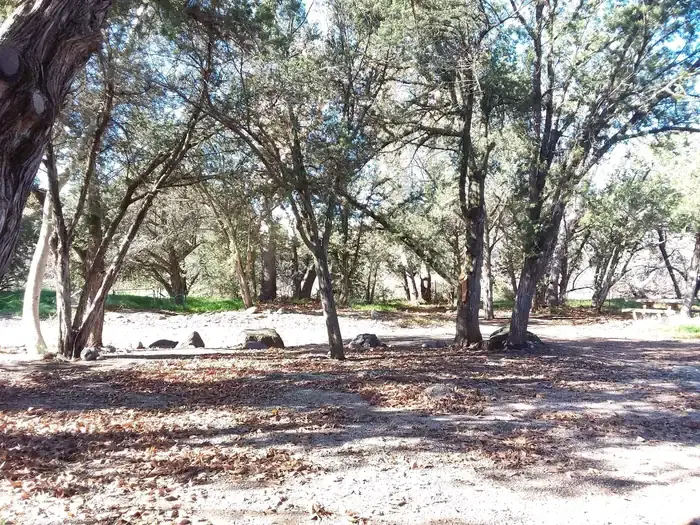 Shaded open area.