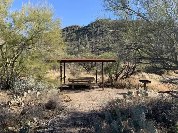 single covered picnic table with grill