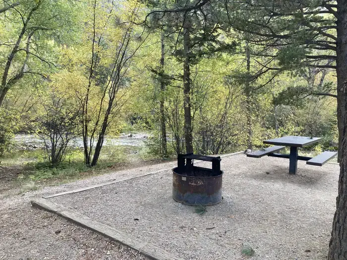 Campsite near creek surrounded by trees