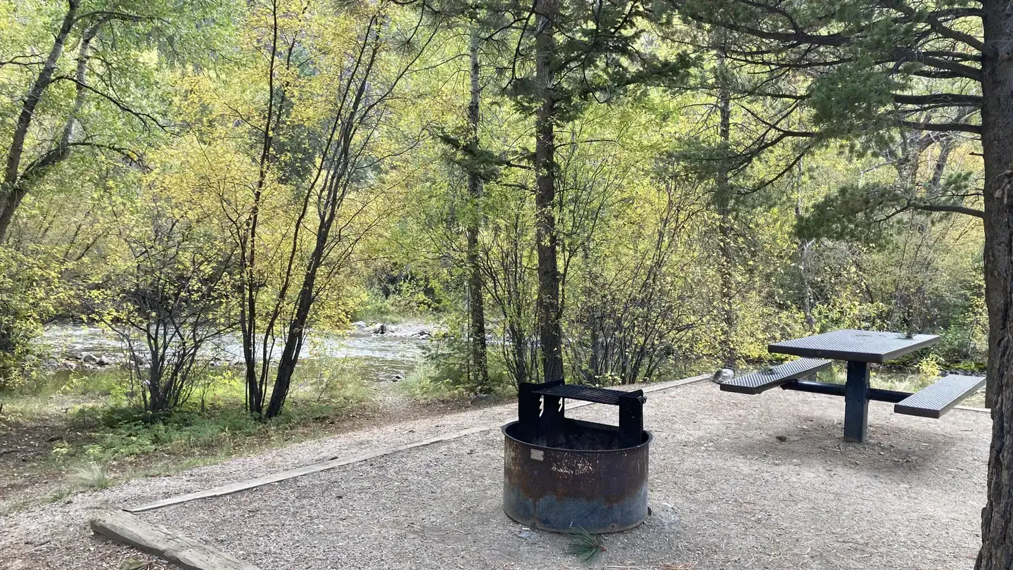 Campsite near creek surrounded by trees