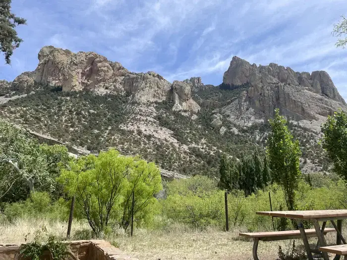 Back Patio View