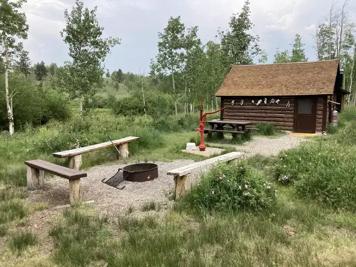 Cabin with grass, flowers and trees