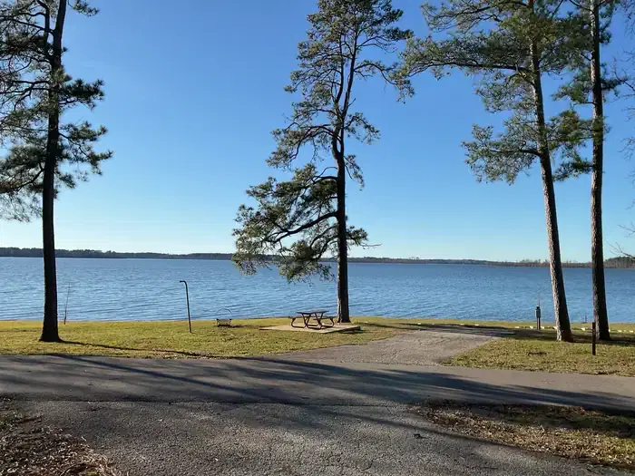 A photo of facility SAN AUGUSTINE with Picnic Table, Electricity Hookup, Fire Pit, Waterfront, Lantern Pole